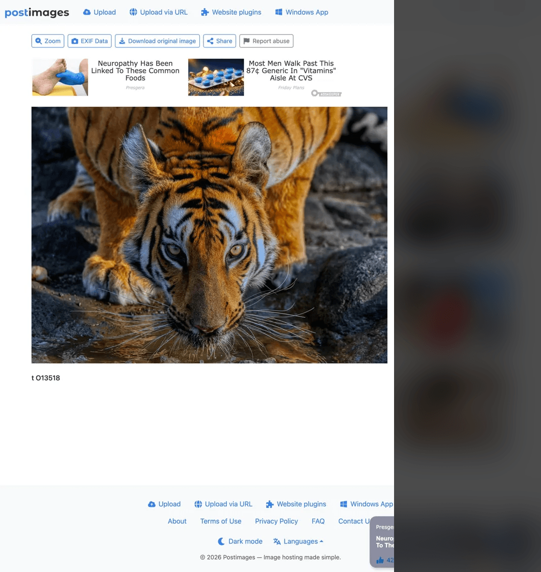 blog image 1 tiger reference 3